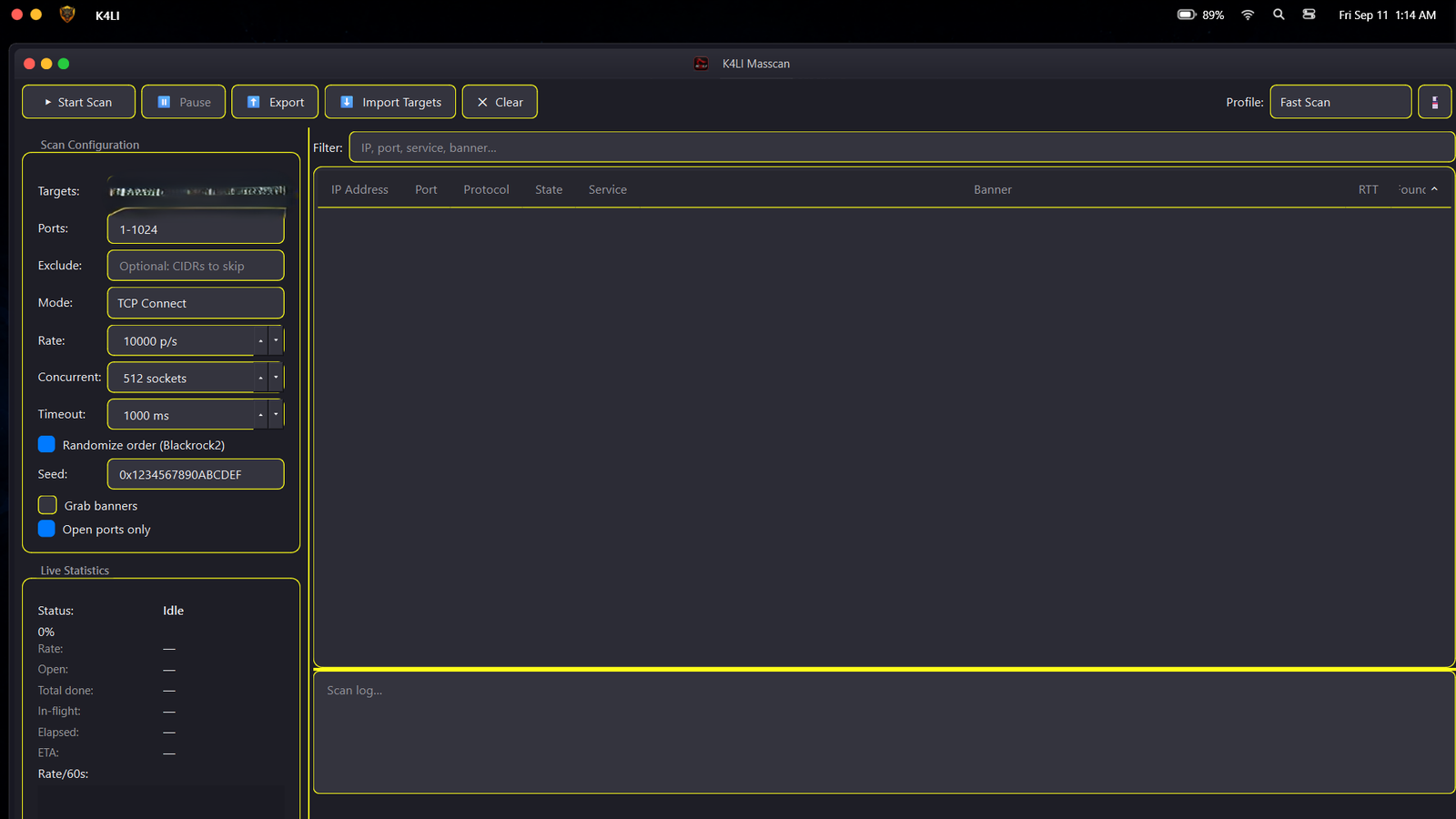 Network tool masscan